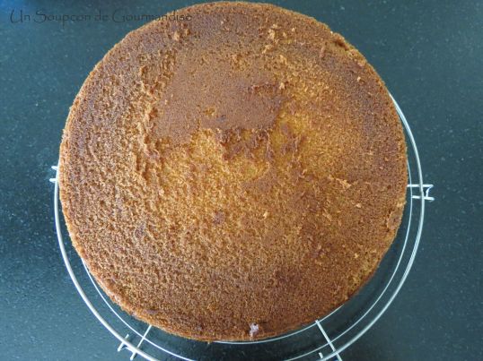 Gâteau abricot-romarin 24